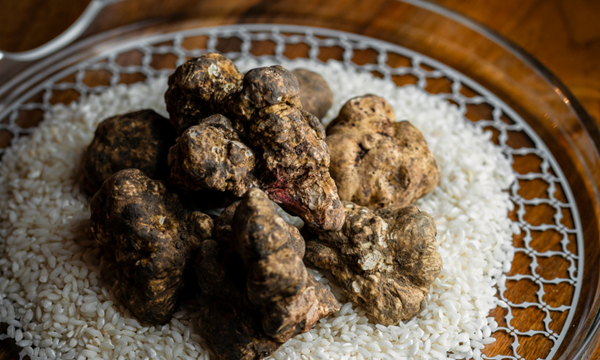 Soirée truffe &amp; chasse